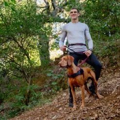 Rogz Hondentuig Airtech Sport Rood 21 Rogz Hondentuig Airtech Sport Rood -Hond winkel image 4575