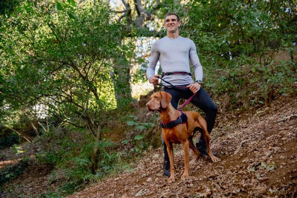 Rogz Hondentuig Airtech Sport Rood 12 Rogz Hondentuig Airtech Sport Rood - Afbeelding 10