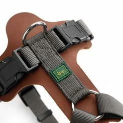 Hunter Hondentuig Aalborg Mixed Cognac 10 Hunter Hondentuig Aalborg Mixed Cognac -Hond winkel image 4585