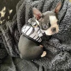 Doxtasy Hondentuig Comfy Harnass Zebra -Hond winkel image 4617