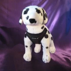 Puppia Hondentuig Camouflage -Hond winkel image 4620