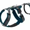 Hunter Veiligheidsharnas Maldon Teal -Hond winkel image 4661