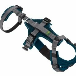 Hunter Veiligheidsharnas Maldon Teal -Hond winkel image 4665