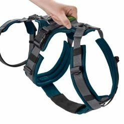 Hunter Veiligheidsharnas Maldon Teal -Hond winkel image 4667