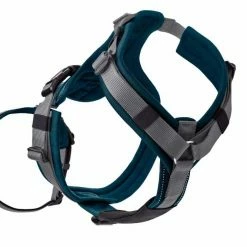 Hunter Veiligheidsharnas Maldon Teal -Hond winkel image 4668