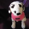 Puppia Hondentuig Soft Harness Roze -Hond winkel image 4676