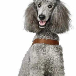 Hunter Hondentuig Dimaro Cognac -Hond winkel image 4696