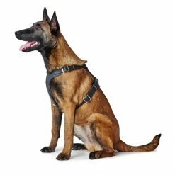 Hunter Hondentuig Aalborg Zwart -Hond winkel image 4700