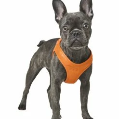 Hunter Hondentuig Hilo Oranje -Hond winkel image 4702