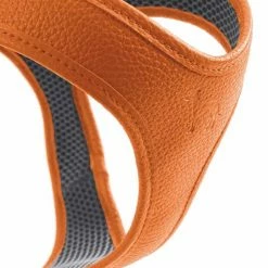 Hunter Hondentuig Hilo Oranje -Hond winkel image 4703