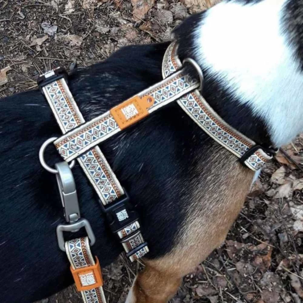 Max&Molly Max & Molly Hondentuig Ethnic 4 Max&Molly Max & Molly Hondentuig Ethnic - Afbeelding 2