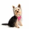 Rogz Hondentuig Wrapz Pink Bones -Hond winkel image 4745