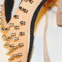 Dean And Tyler Hondentuig The Blade -Hond winkel image 4755