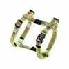 Rogz Hondentuig Trendy Multi Bones -Hond winkel image 4756