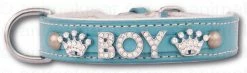 Doxtasy Hondenhalsband Met Naam Medium Babyblue