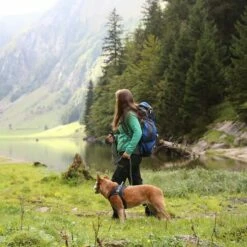 EQDOG Hondentuig Classic Harness Zwart -Hond winkel image 4782