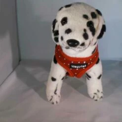 Wagytail Hondentuig Rood Met Swarovski -Hond winkel image 4831