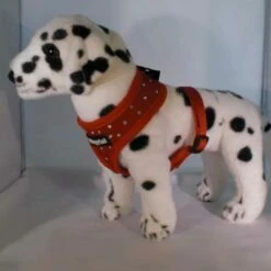 Wagytail Hondentuig Rood Met Swarovski -Hond winkel image 4832