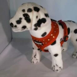 Wagytail Hondentuig Rood Met Swarovski -Hond winkel image 4833