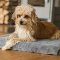 TrendPet Hondenkussen VitaMeDog Grijs