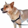 Petsafe Anti-Trek Hondentuig Easy Walk ® Zwart -Hond winkel image 4852