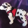 Puppia Hondentuig Soft Vest Red 2 Puppia Hondentuig Soft Vest Red -Hond winkel image 4860