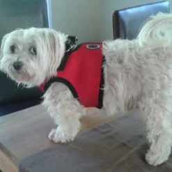 Puppia Hondentuig Soft Vest Red -Hond winkel image 4861