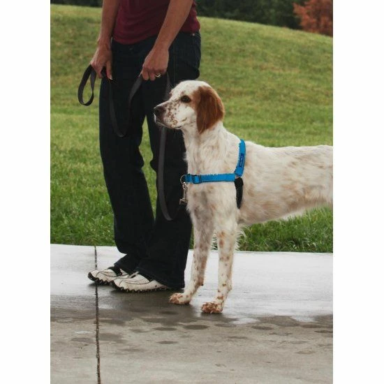 Petsafe Anti-Trek Hondentuig Easy Walk ® Deluxe 3 Petsafe Anti-Trek Hondentuig Easy Walk ® Deluxe