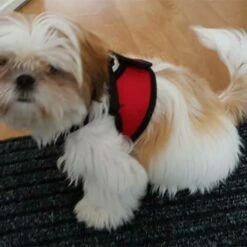 Doxtasy Hondentuig Comfy Harnass Mesh Red -Hond winkel image 4903