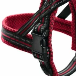 Hunter Noors Hondentuig Hilo Rood -Hond winkel image 4945