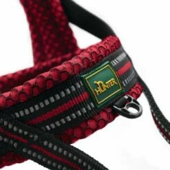 Hunter Noors Hondentuig Hilo Rood -Hond winkel image 4946