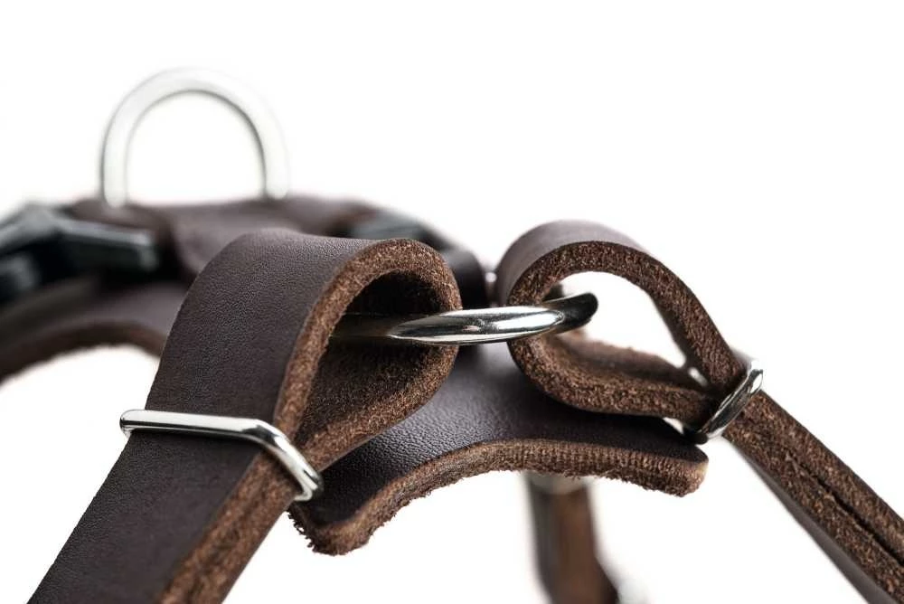 Hunter Hondentuig Aalborg Bruin 7 Hunter Hondentuig Aalborg Bruin - Afbeelding 5