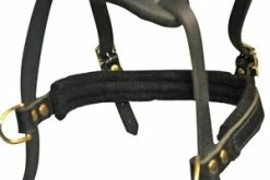 Dean And Tyler Hondentuig Cowboy -Hond winkel image 4982