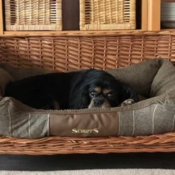 Scruffs Hondenmand Windsor Bruin -Hond winkel image 4999