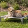 TrendPet Hondenmand High Bed -Hond winkel image 5013