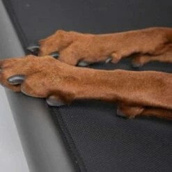 TrendPet Hondenmand High Bed -Hond winkel image 5020