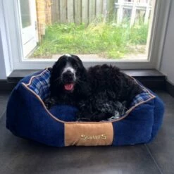 Scruffs Hondenmand Highland Blauw -Hond winkel image 5111