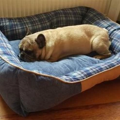 Scruffs Hondenmand Highland Blauw -Hond winkel image 5112