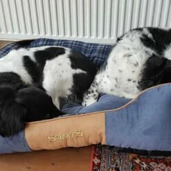 Scruffs Hondenmand Highland Blauw -Hond winkel image 5114