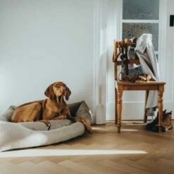 Hunter Hondenmand Hoek Livingstone Beige