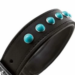 Hunter Hondenhalsband Modica