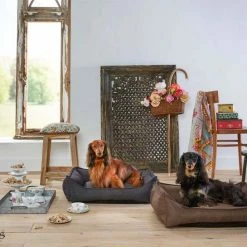 SnObbs Orthopedische Hondenmand Antraciet