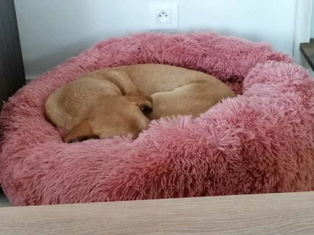 District70 Hondenmand Donut Fuzz Oud Roze 4 District70 Hondenmand Donut Fuzz Oud Roze - Afbeelding 2