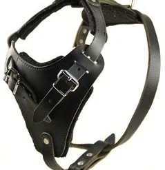 Aqua Coolkeeper Koel Jas Hond Pacific Blue -Hond winkel image 52