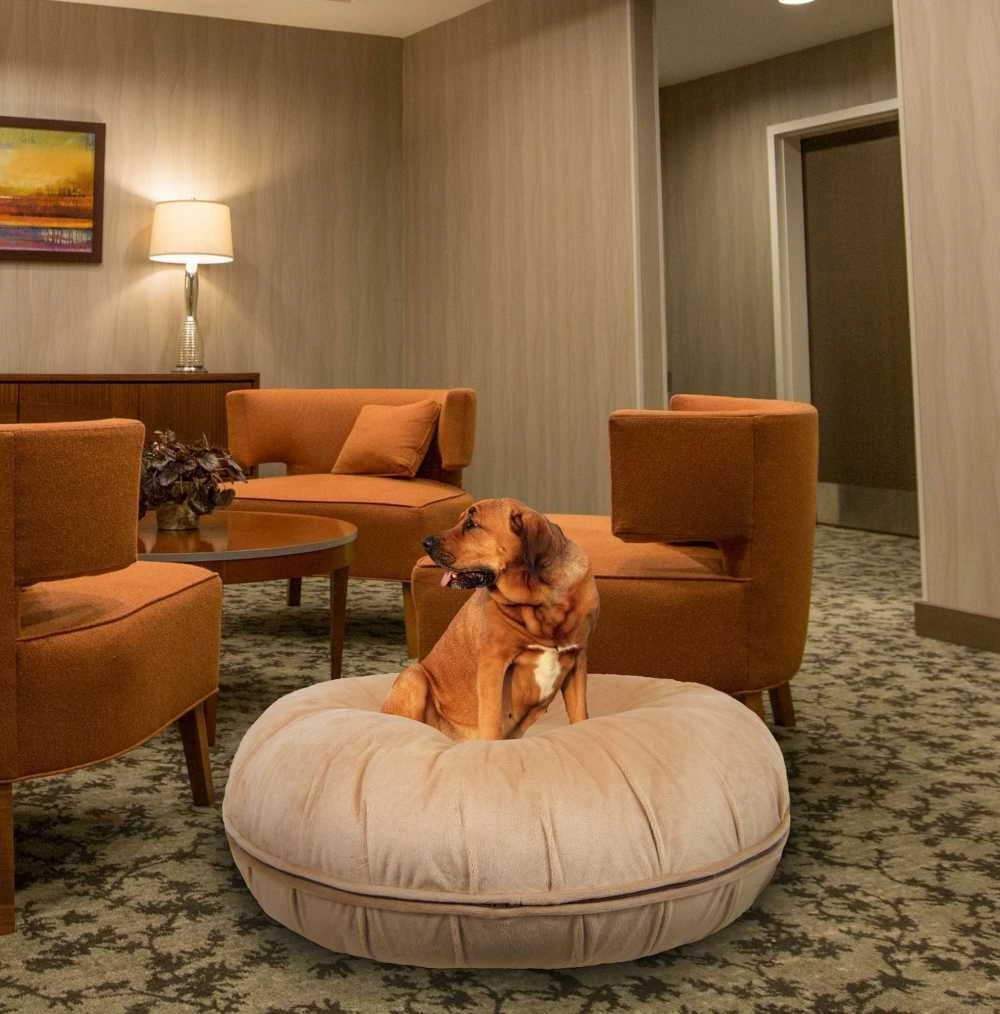 Bessie And Barnie Hondenmand Bagel Divine Caramely 4 Bessie And Barnie Hondenmand Bagel Divine Caramely - Afbeelding 2