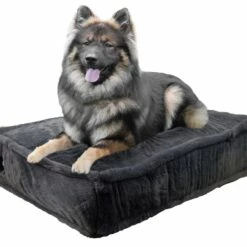 Bessie And Barnie Hondenkussen Rectangle Short Shag Mystic Grey 9 Bessie And Barnie Hondenkussen Rectangle Short Shag Mystic Grey -Hond winkel image 5284