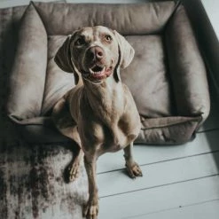 Hunter Hondenmand Kunstleer Bologna Stone