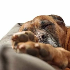 Hunter Hondenmand Kunstleer Bologna Stone -Hond winkel image 5303