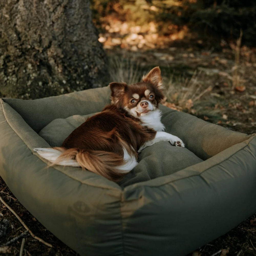 District70 Hondenmand Lodge Box Bed Groen 3 District70 Hondenmand Lodge Box Bed Groen