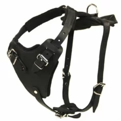 Aqua Coolkeeper Koel Jas Hond Pacific Blue -Hond winkel image 54